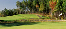 The natural beauty is all around Image of golf ball