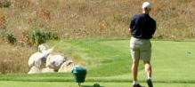 No wait, no lines, just great golf! No wait, no lines, just great golf!