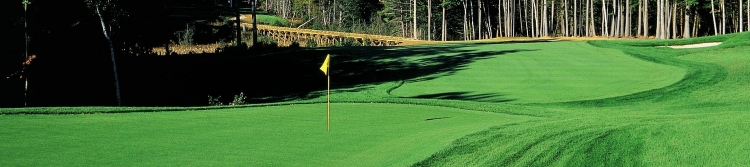 The Golf Club of New England